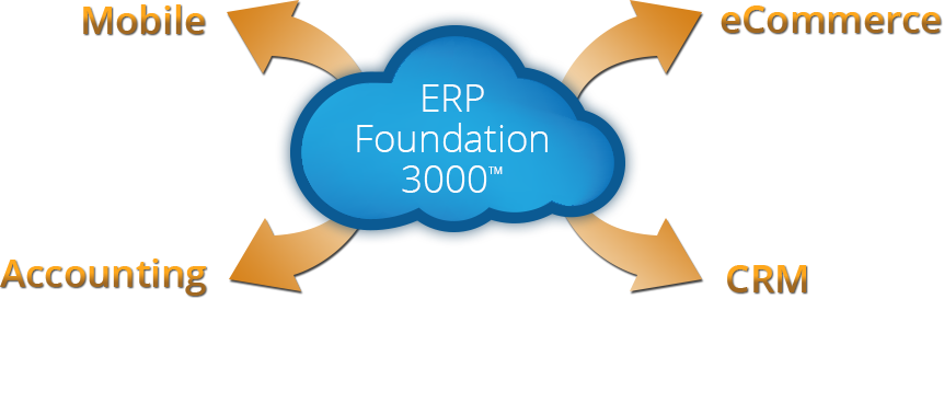 Softrend Systems Foundation 3000